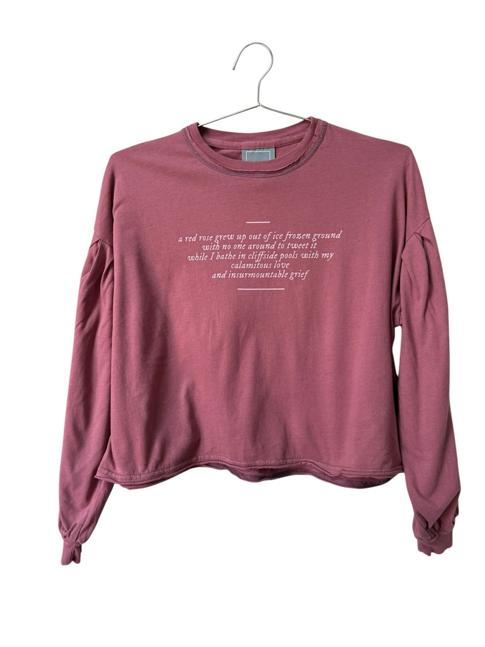 Taylor Swift Rose-Mauve Long balloon Sleeve pullover small